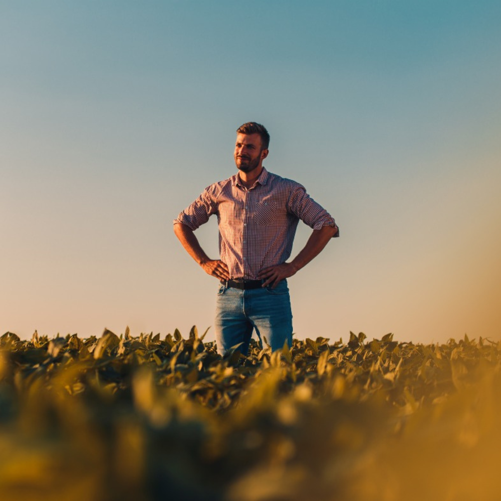 Reakcja właścicieli gruntów na ustawę o planach ogólnych