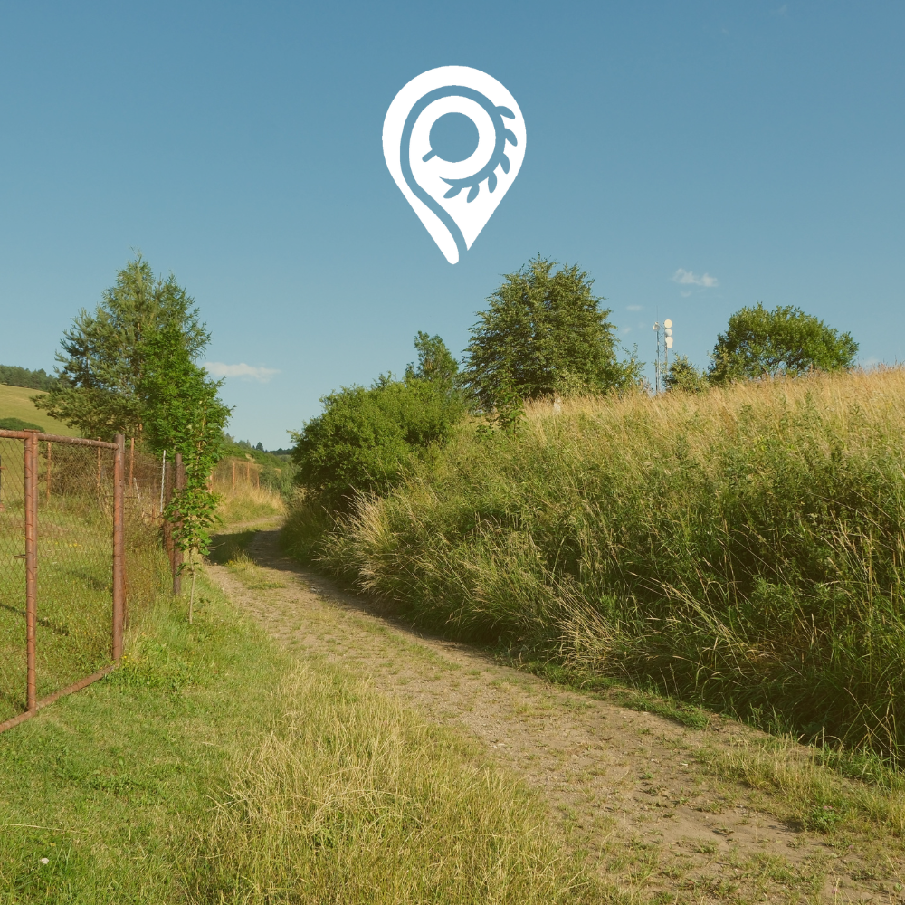 Jak czytać ogłoszenie działki, żeby nie przeoczyć rzeczy naprawdę