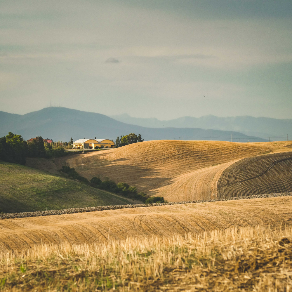 Dlaczego jedne działki drożeją, a inne stoją latami?