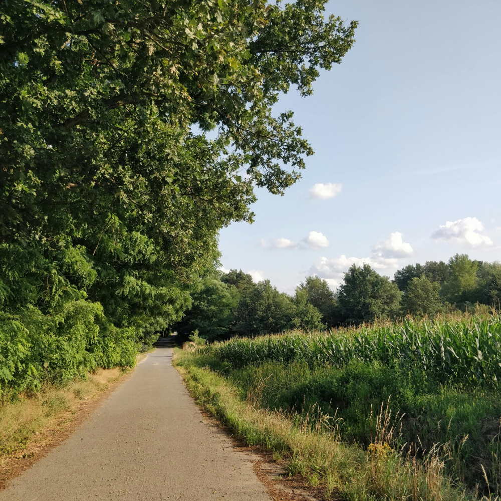 Czy można sprzedać działkę bez dostępu do drogi?