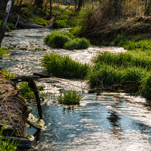 Hydrologia i stosunki wodne gruntu