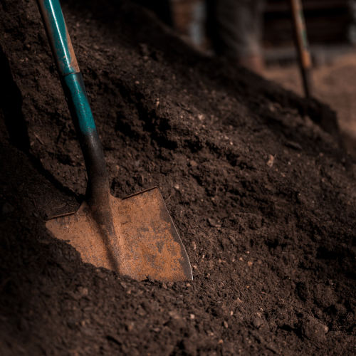 Gleby organiczne – co oznaczają dla inwestora, jak je rozpoznać i dlaczego fundamenty na takim terenie są wyjątkowo ryzykowne?